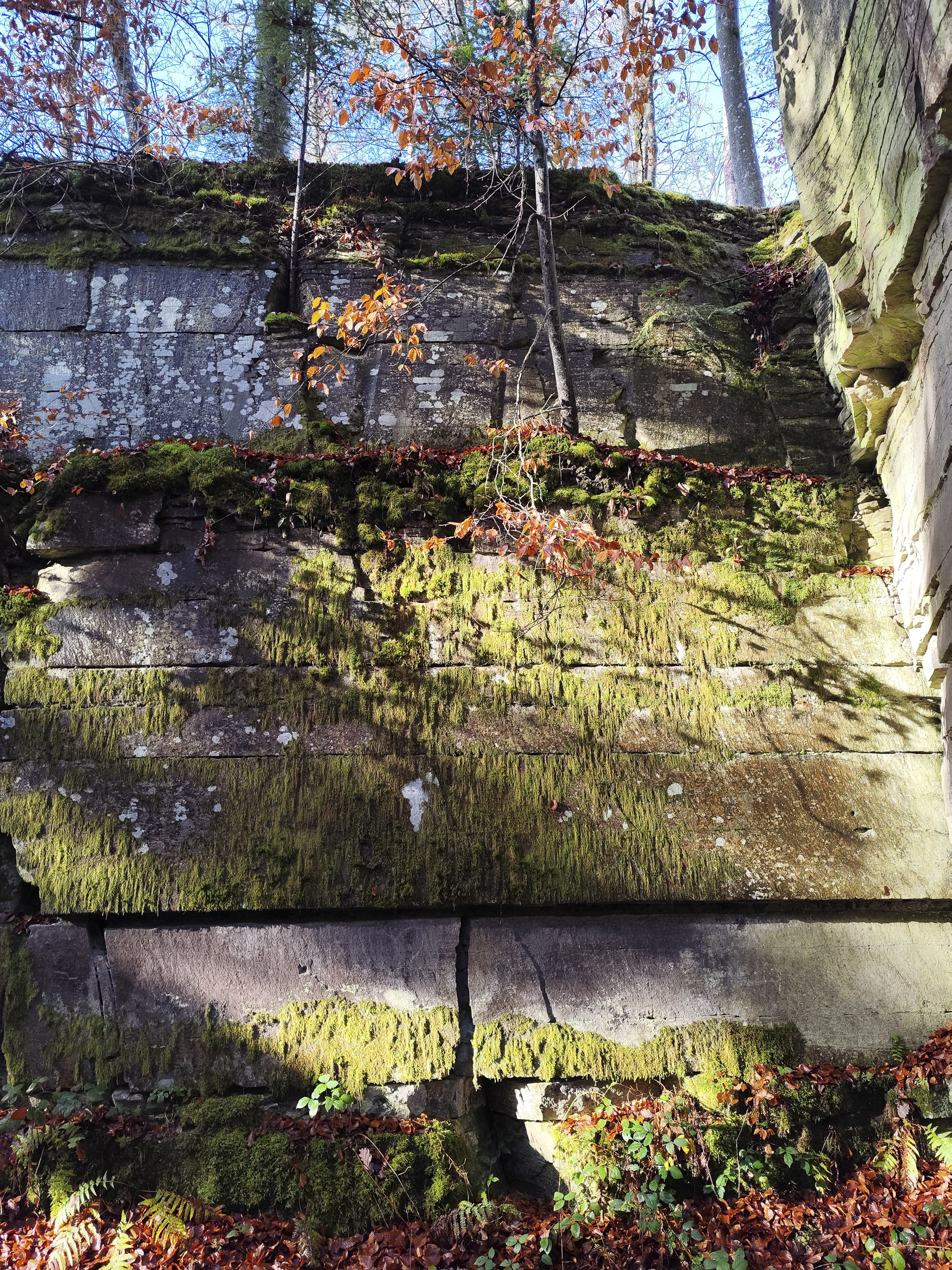 20251129121918 IMG 20251129 121918